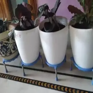 plant pot stand image multiple